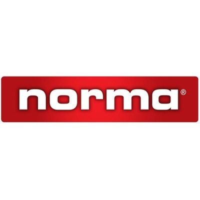 Bossoli NORMA 260 Remington conf.100 pz.