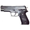SIG SAUER P220-P229