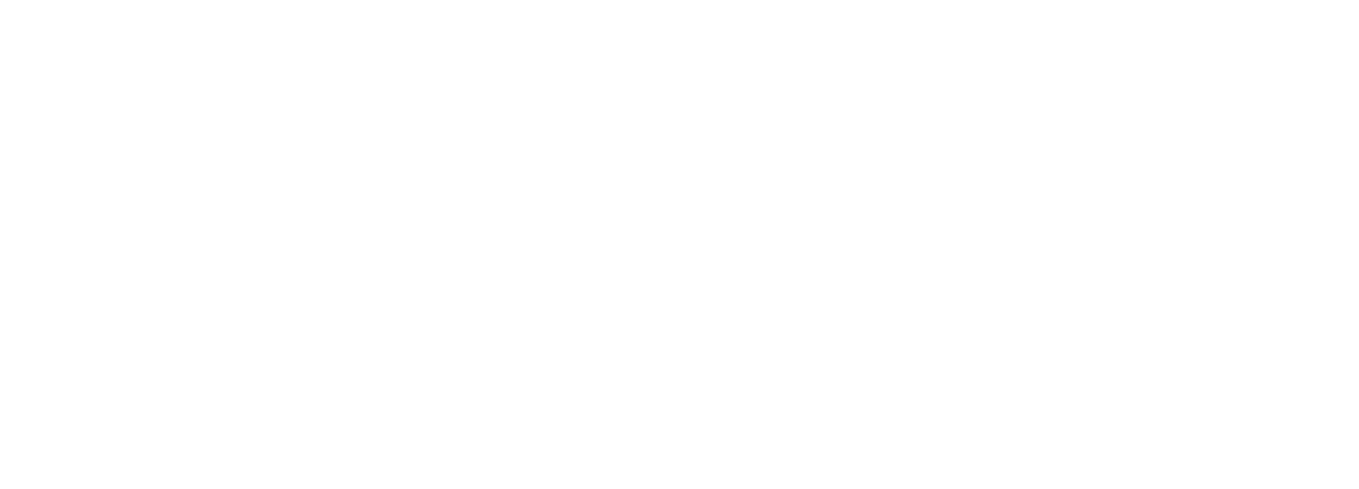 Armeria Davide Guidi - logo bianco