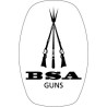 BSA